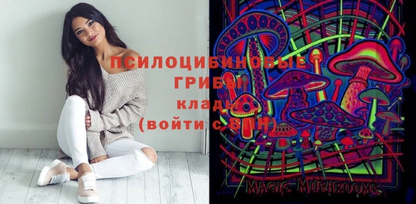 сатива Липки