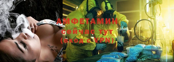 сатива Липки