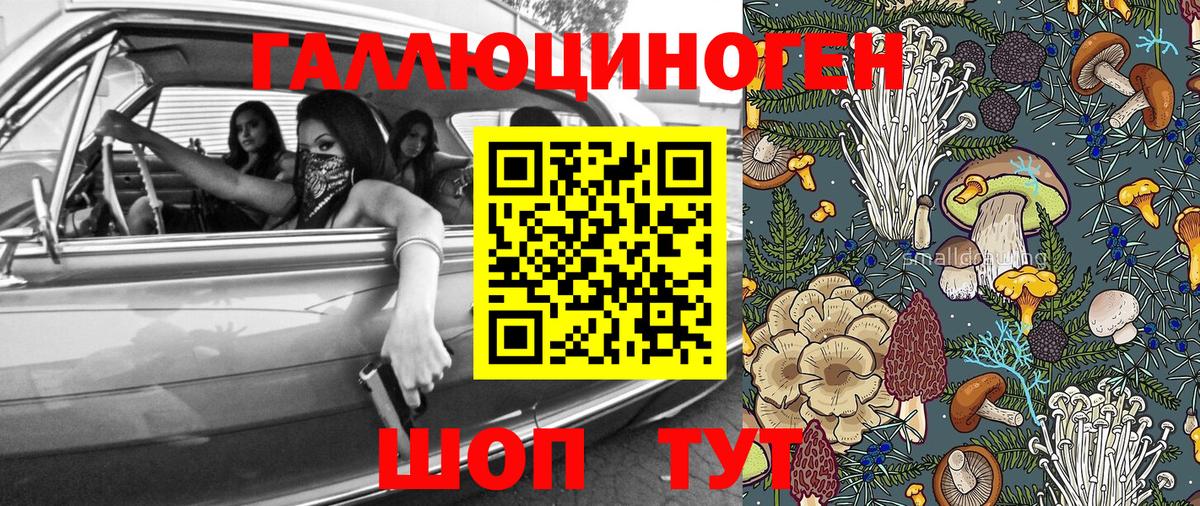Галлюциногенные грибы Psilocybine cubensis  Кашира  Галлюциногенные грибы прущие грибы 