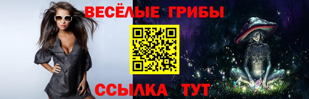 Галлюциногенные грибы Psilocybine cubensis Кашира