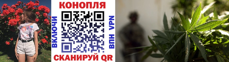 Бошки Шишки семена  наркошоп  Кашира 